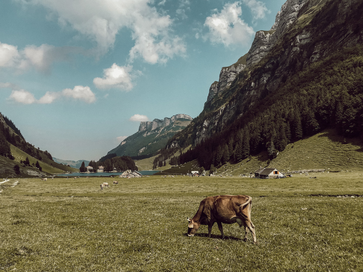 Alpstein Appenzeller Land schönste Wanderung Schweiz Höhenbergweg Äscher Wildkirchli Schäfler Grat Mesmer Seealpsee Aescher
