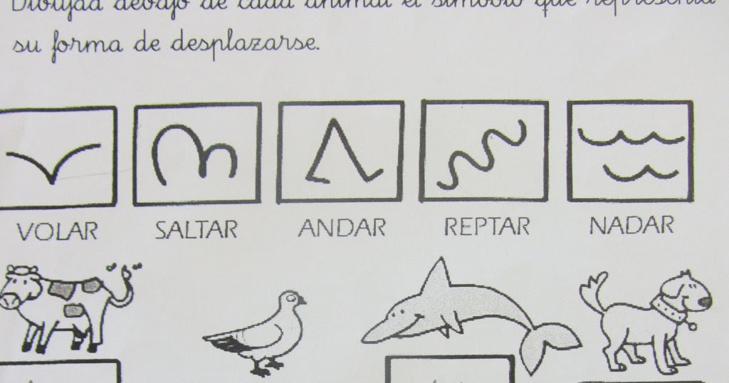 Como ver crecer la hierba: CÓMO SE DESPLAZAN LOS ANIMALES