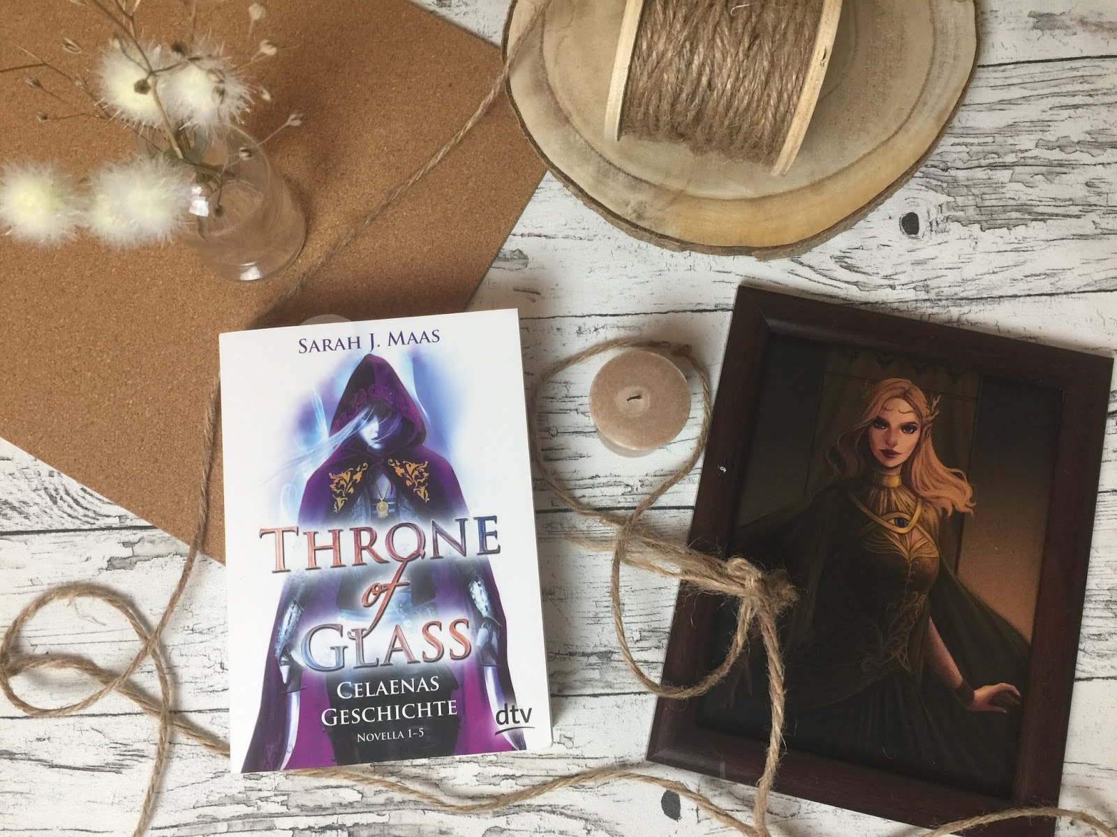 Celaenas Geschichte 1 Throne Of Glass Roman nessisbuecher-blog.blogspot.com