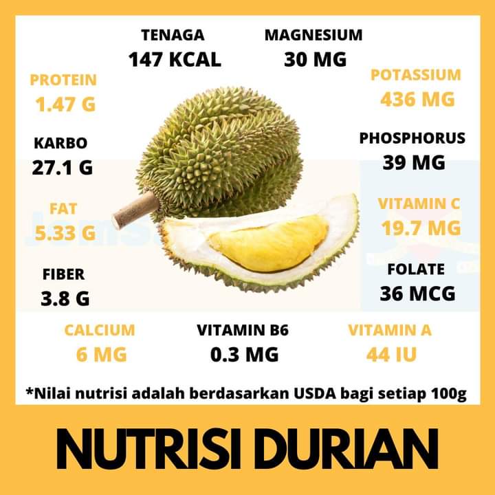 Seulas kalori durian