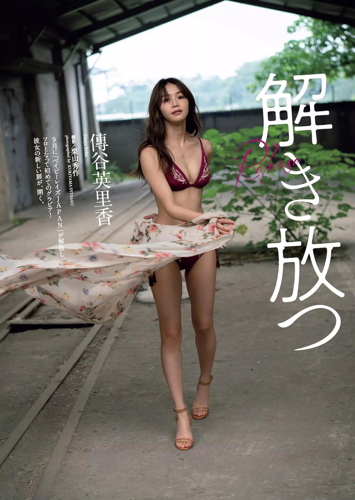 Erika Den’ya 傳谷英里香, Weekly Playboy 2018 No.51 (週刊プレイボーイ 2018年51号)