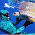 Mergulhador salva tartaruga no mar, e recebe dela um agradecimento