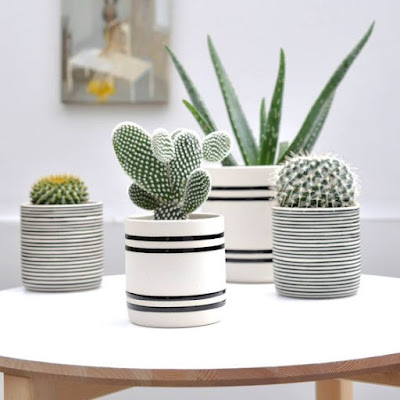 decoracion con cactus