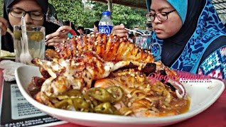 Warung Hijau Rojak Sotong | Warung Kampung Yang Ohsem!