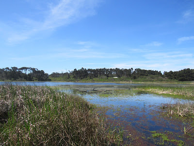 MacKerricher State Park Fort Bragg California