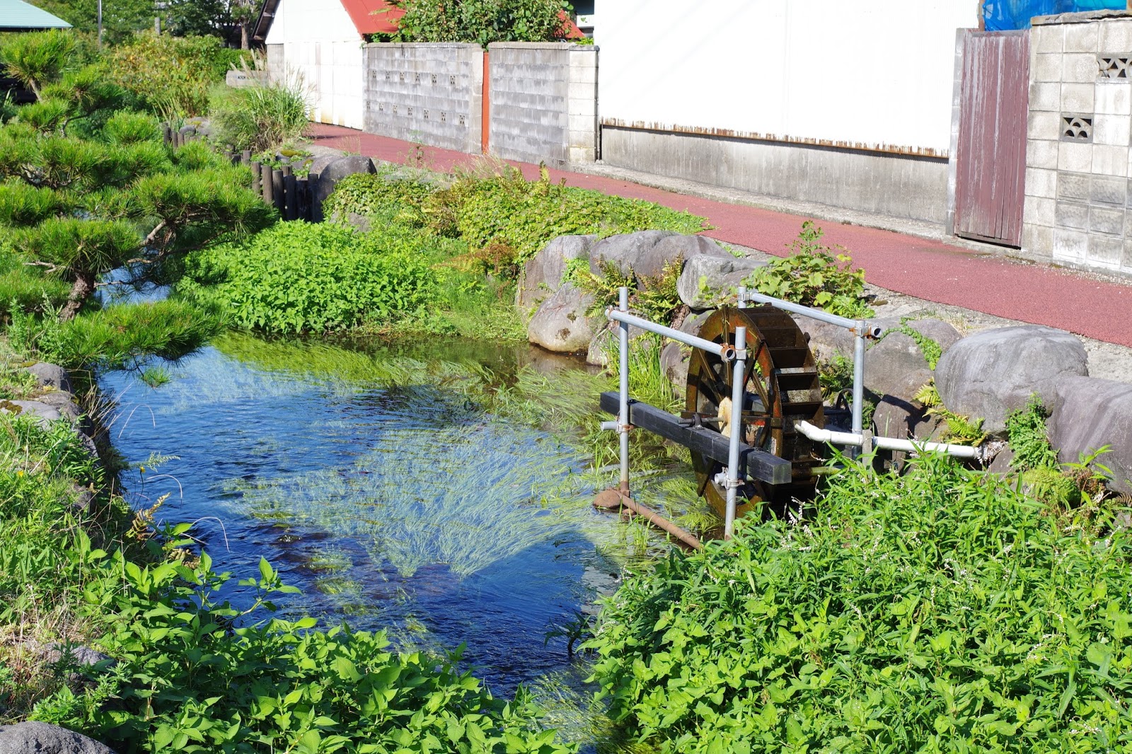まだこいの あなたも遊佐町のサポーター！「遊佐町ふるさと町民制度」 など：庄内地方の新着情報（2016.12.28）