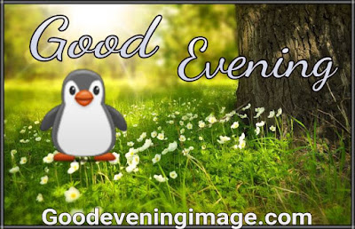 Cute good evening wallpaper for whatsapp Cute good evening wallpaper for whatsapp