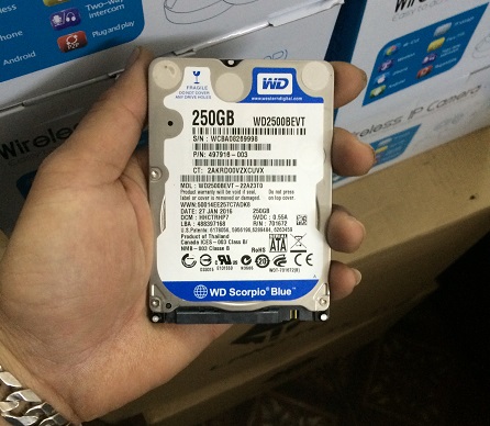 western digital scorpio blue 250gb 5400rpm 8mb cache sata ii wd2500bevt 5