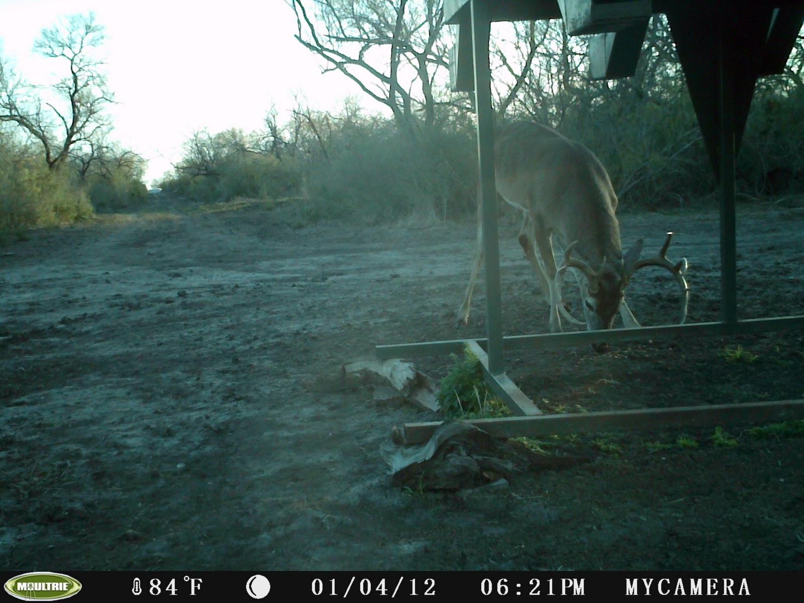 Poth Picture Of The Day January 2012