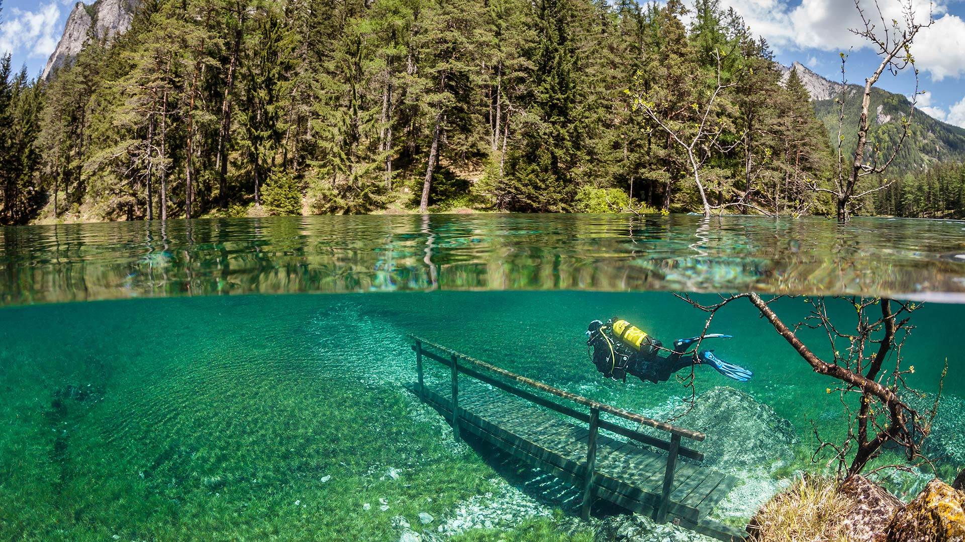 Ресторан зеленое озеро. Зеленое озеро в Австрии. Озеро Грюнер. Грюнер Зее Австрия озеро фото. Австрия зеленое озеро подводный парк.