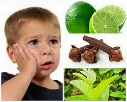 Obat Sakit Gigi untuk Anak Usia 3 Tahun 4 Tahun 5 Obat Sakit Gigi untuk Anak Usia 3 Tahun 4 Tahun 5
