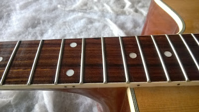 luthier zona leste