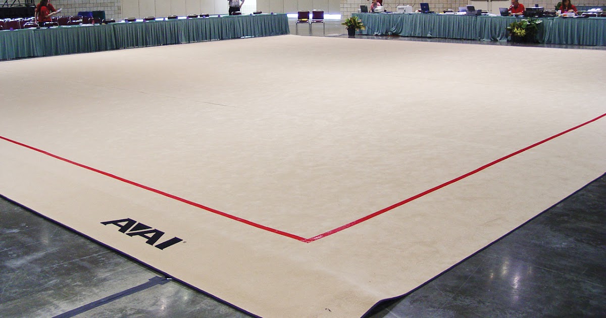 Bianka Panova Sport and Art Academy Familiarizing the Rhythmic