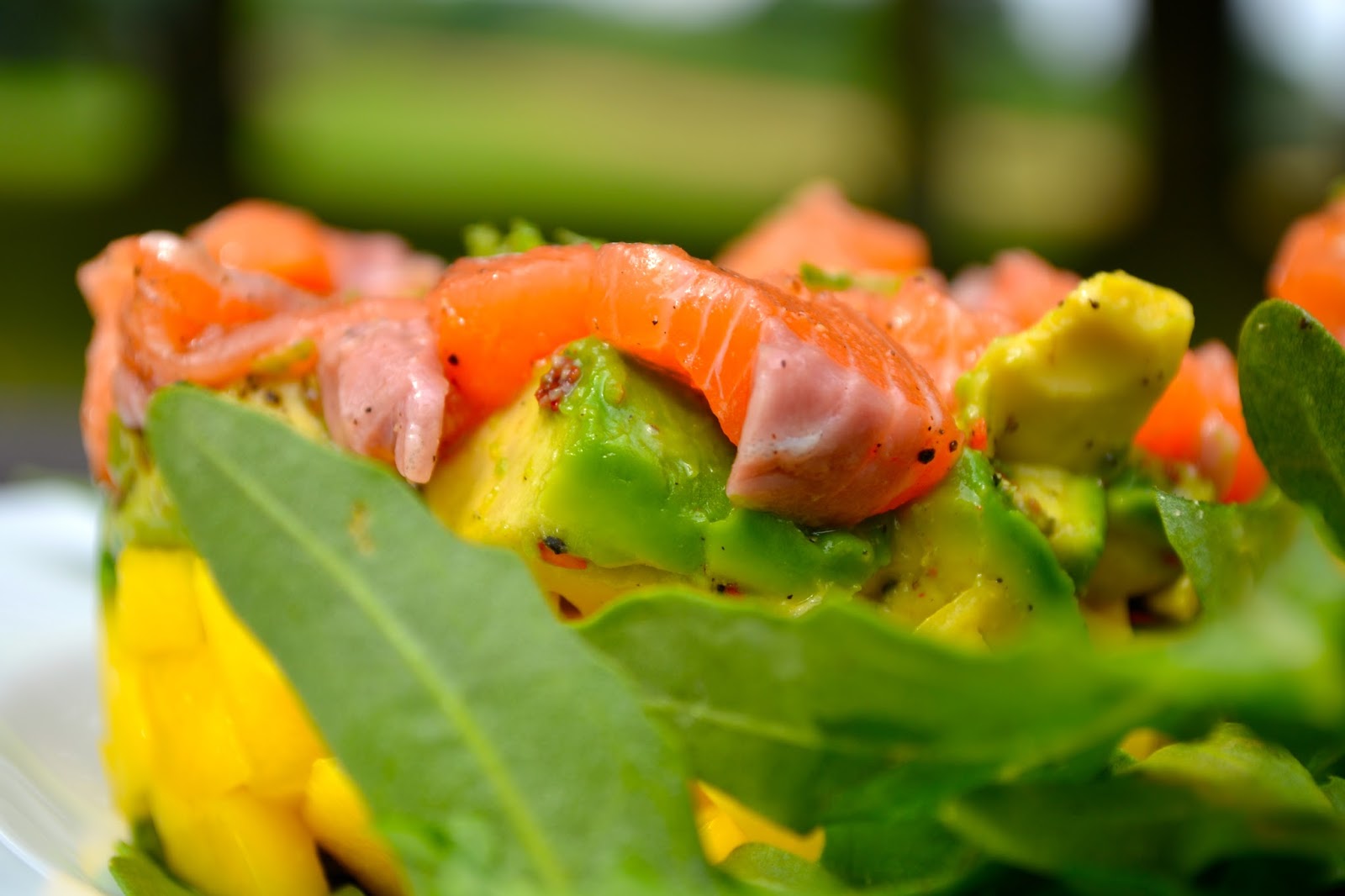 clubzimmer: Lachstatar mit Avocado & Mango