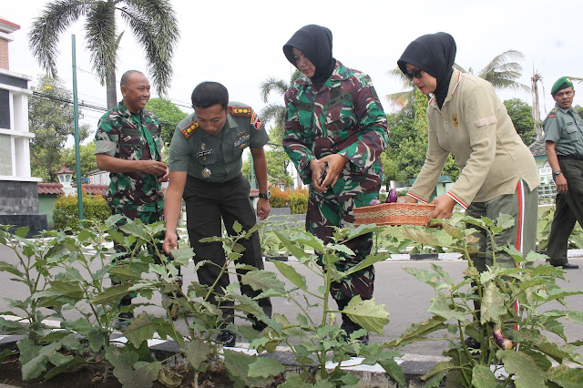 Dandim Sragen Ajak Anggota Panen Sayur