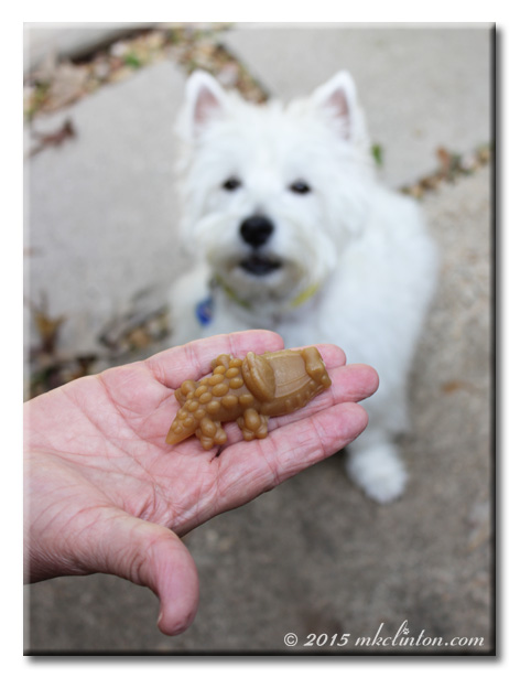 Whimzees Gator-shaped dog chew and Pierre Westie
