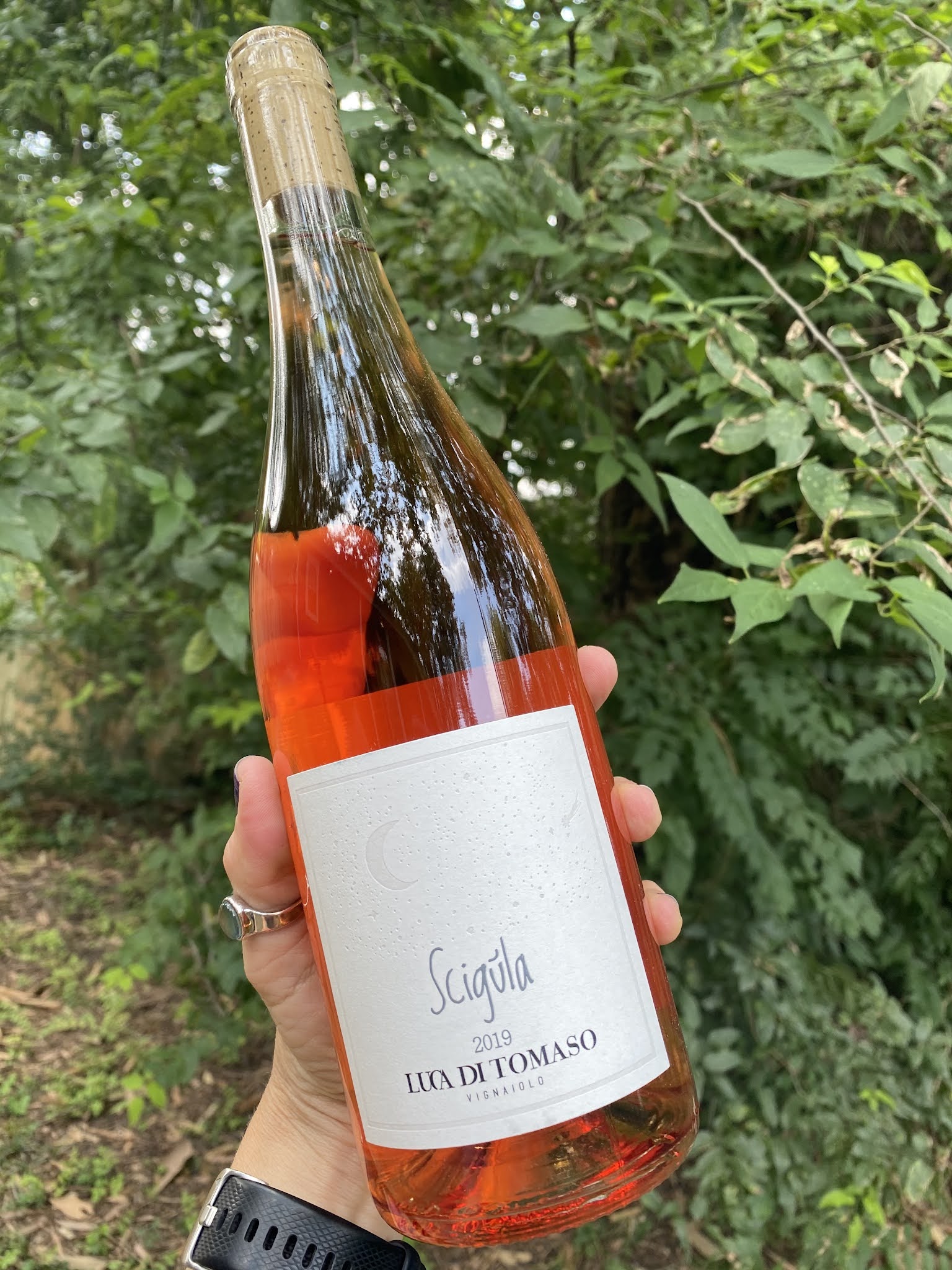 Vegan Crunk Product Review Vegan Wines!