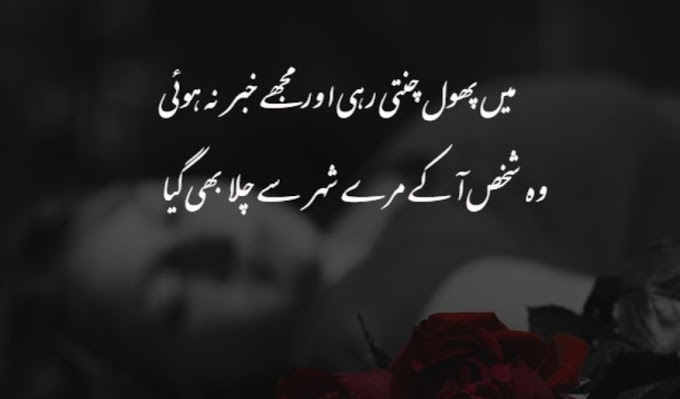 urdu poetry 