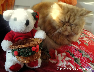 AUGURI DI BUON NATALE | ZAMPETTE IN PASTA