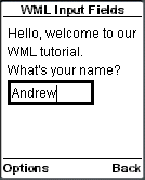WML input  Tag وسم مربع نص