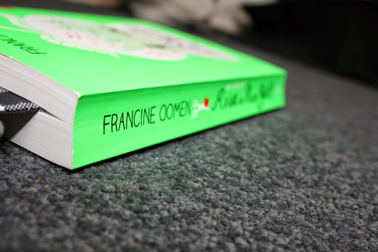 Fourteens Book review Hoe overleeft Rosa in New York?