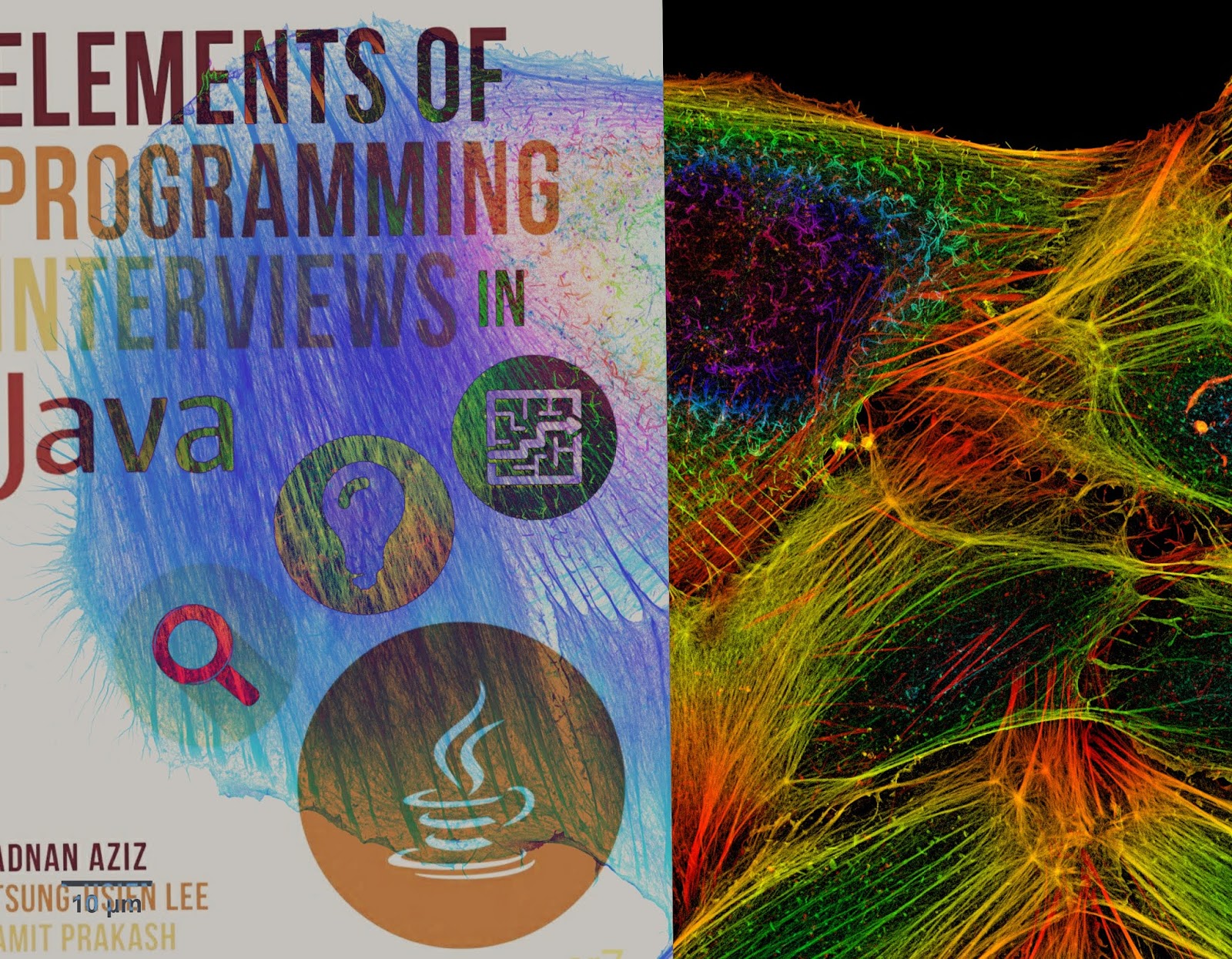 elements of programming interviews in java: the insider's guide, pdf