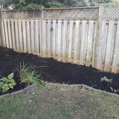 Toronto Backyard Garden Cleanup in Sherwood Park After by Paul Jung Gardening Services