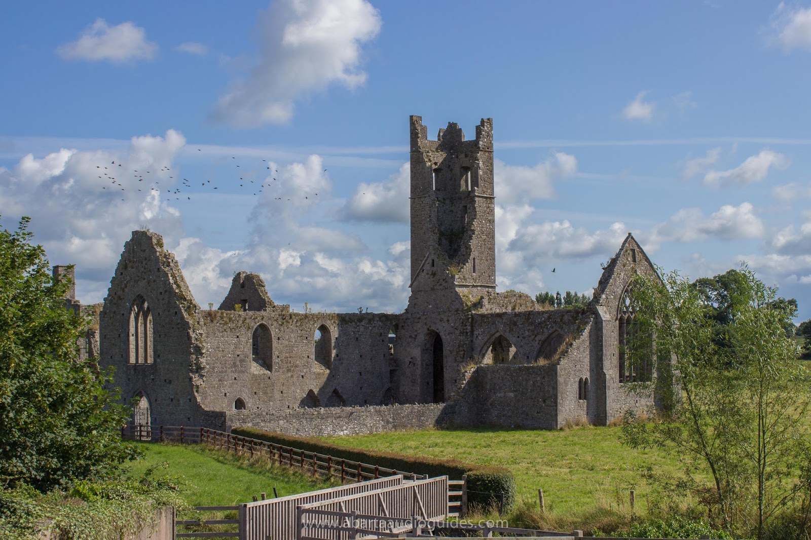 Addenda, 1598-1599, in Calendar of State Papers, Ireland, 1601-1603, with in which he says that he means to lie to-night at Kilmallock with 14 companies of foot. which this is a draft, is calendared under this date in Calendar of S.P. Ireland, Pp. 1. Latin. Dated 24 being the day of our liberaation. Evidently an Addenda, 1598-1599 | British History Online