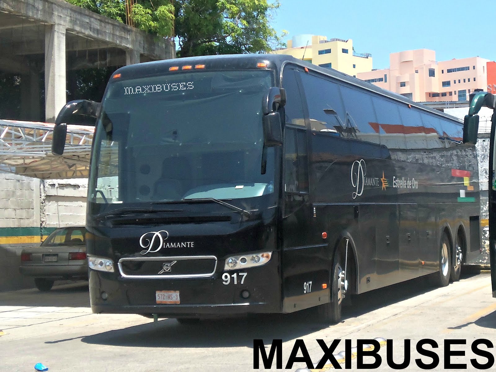 MAXIBUSES ESTRELLA DE ORO DIAMANTE Y ESTRELLA DE ORO PLUSS