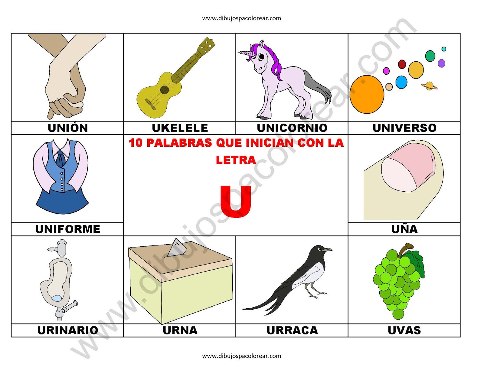 10 palabras u objetos que inician con la letra U