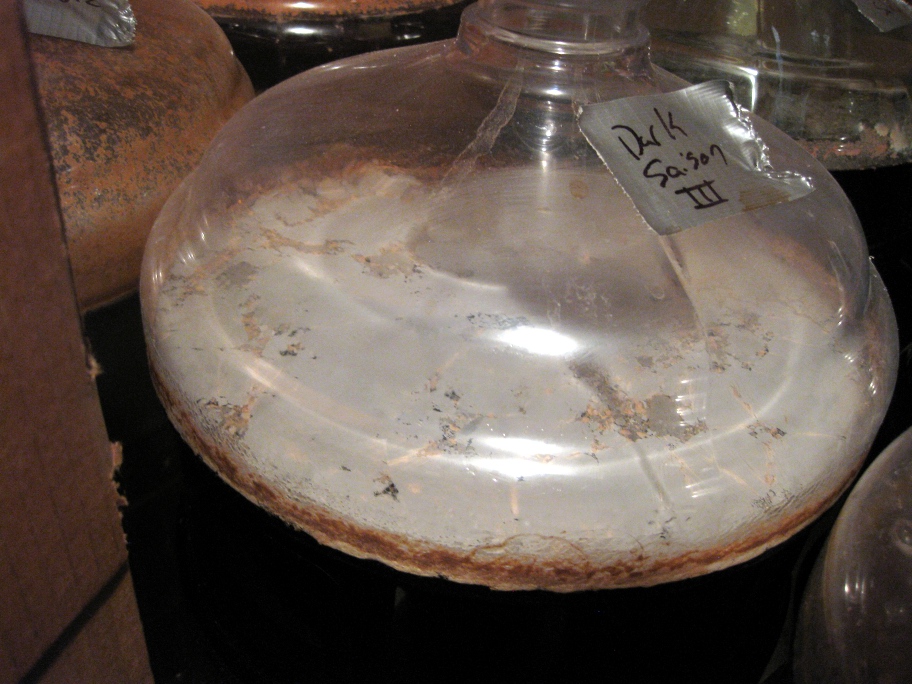 Mash and Lauter A Brewing Blog Sour Bugs