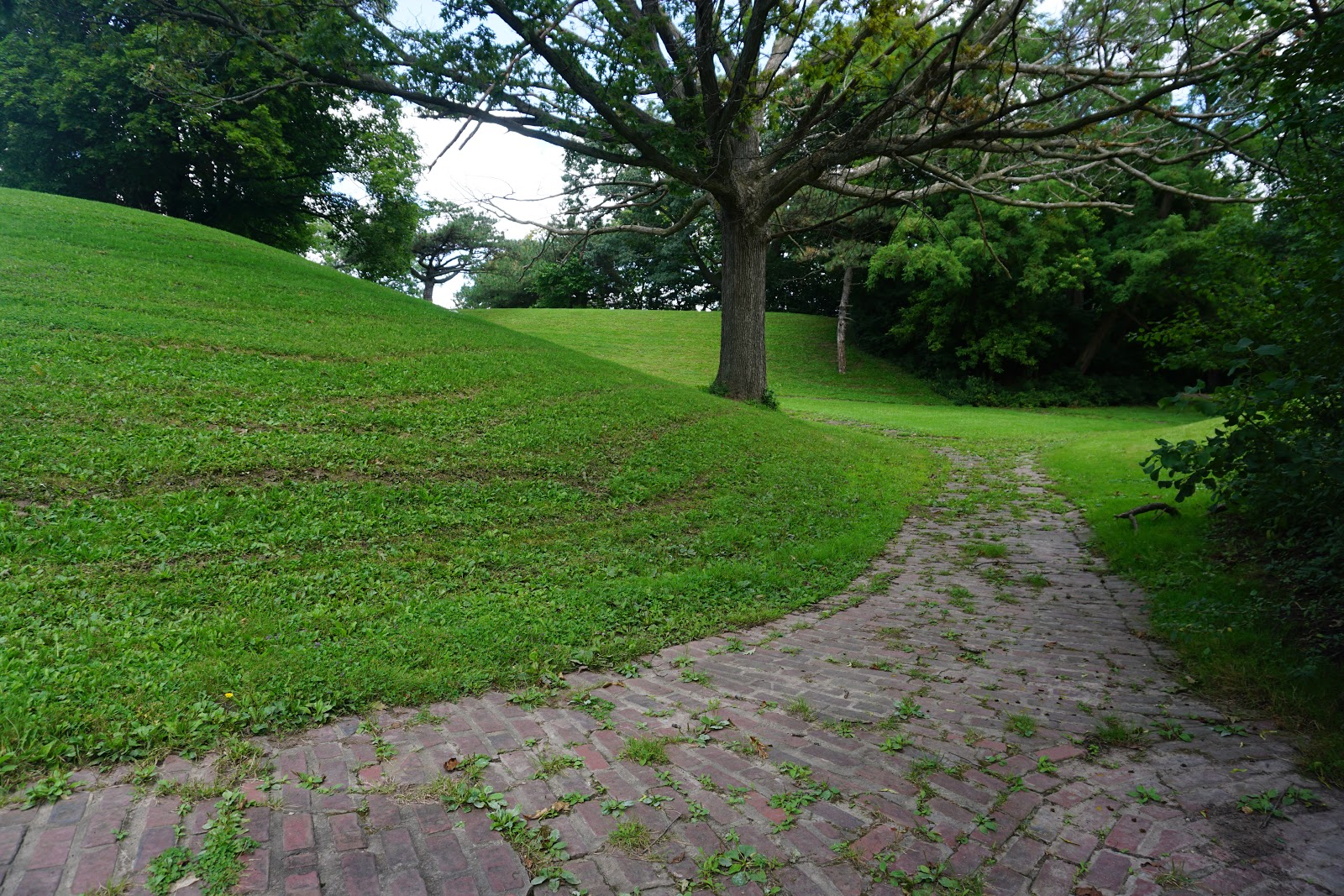 My Central New York Syracuse High Points 5 Schiller Park