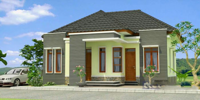 simple village house design picture