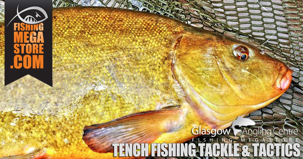 Tench Fishing Tactics and Tackle