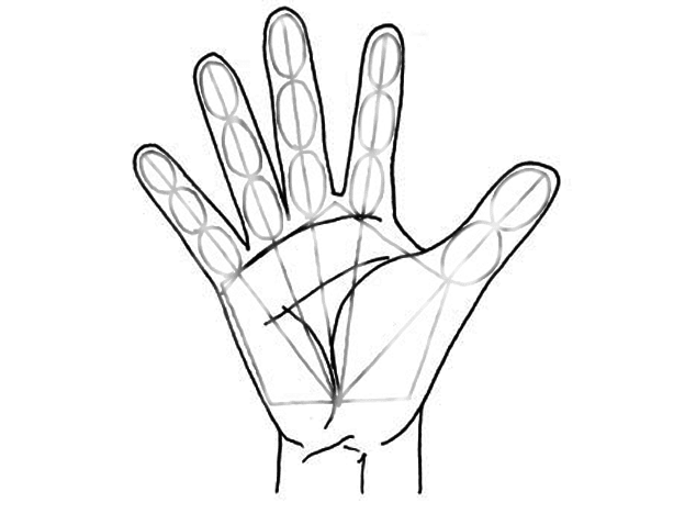 El Taller De Miguel Angel: Dibujo de la mano ( En 5 pasos para  principiantes )