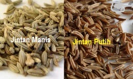 Perbezaan jintan manis dan jintan putih