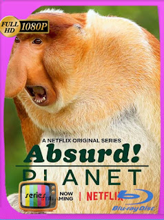 Planeta Absurdo (Absurd Planet) (2020) Temporada 1 HD [1080p] Latino [GoogleDrive] SXGO