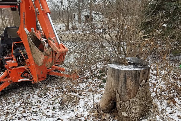 stump-removal-in-LA