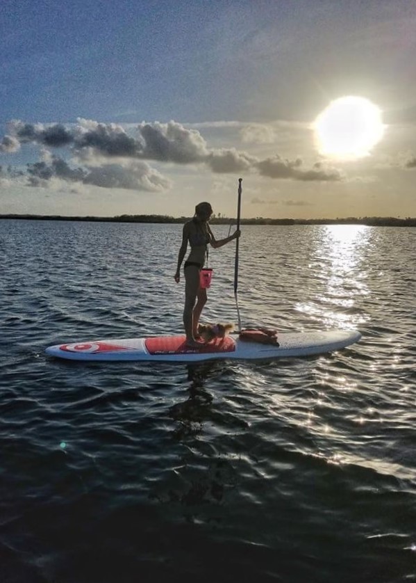 Sunset Paddle Board Tour with Manatees