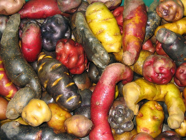 Las patatas pueden tener la carne blanca, amarilla, rosada, rojo, púrpura o incluso azul.