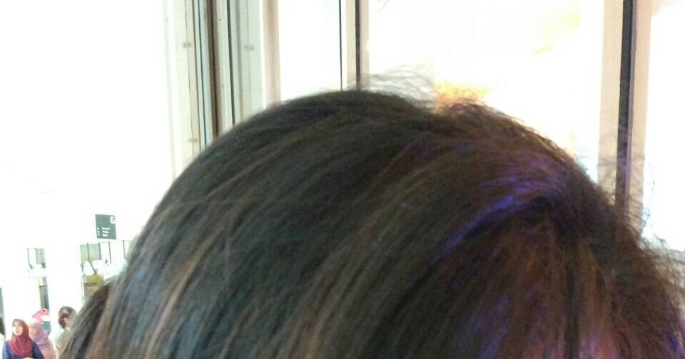 Populer 48+ Katalog Cat Rambut Nyu