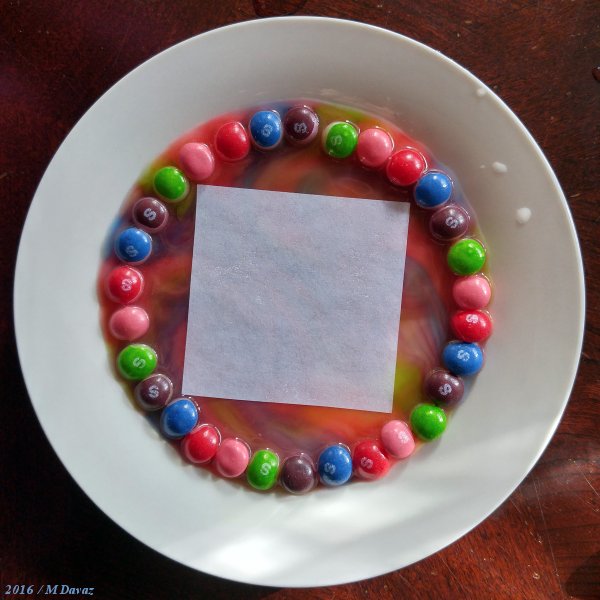 Studio Window Skittles Experiment studio-window-skittles-experiment