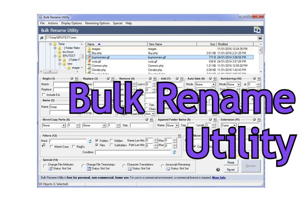 bulk rename utility review