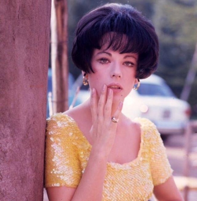 марилу толо. актриса марилу толо. марилу норденфлихт. марилу толо в молодости. марилу толо в молодости.