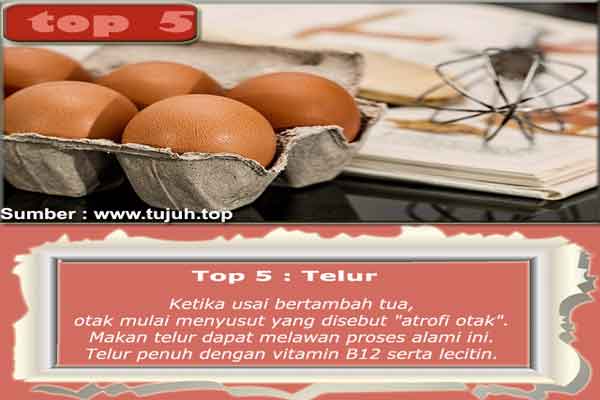 Top 5 Telur Top 7 Makanan Nutrisi Terbaik Untuk Otak