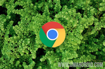 Mengubah Tampilan Google Chrome Android