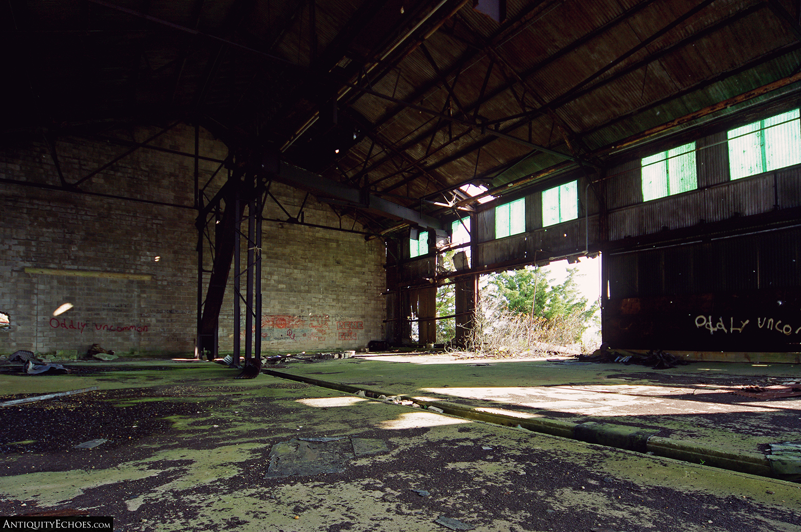 Tuckerton Fish Factory - Moss Covered Concrete