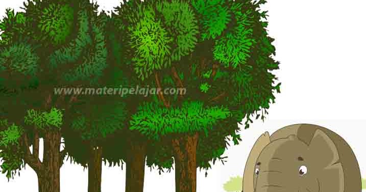 Persebaran Flora Dan Fauna Di Indonesia Materi Pelajar