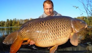 Oostenrijkse record karper