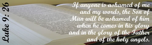 Angels Among Us: Jun 18, 2013